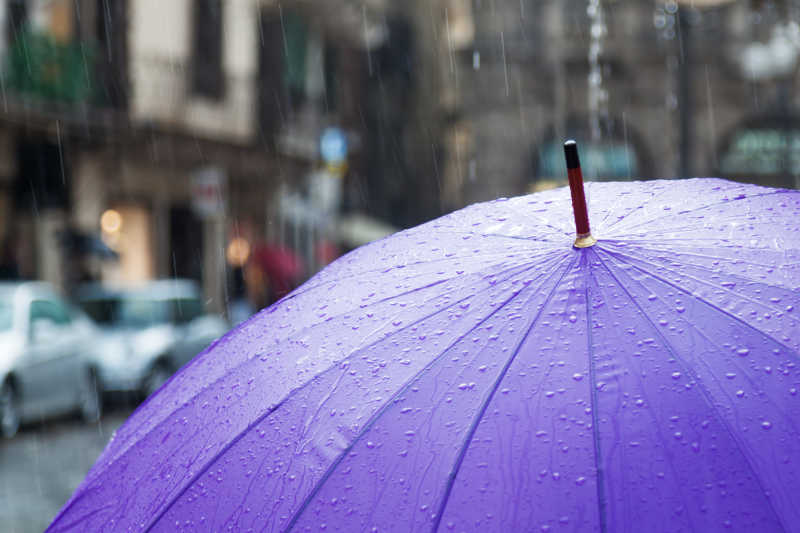 雨滴落在紫色的雨伞上