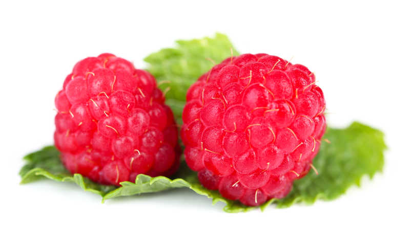 新鲜覆盆子特写