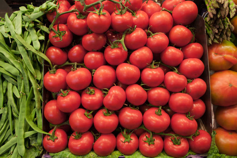 一堆西红柿图片大全图片