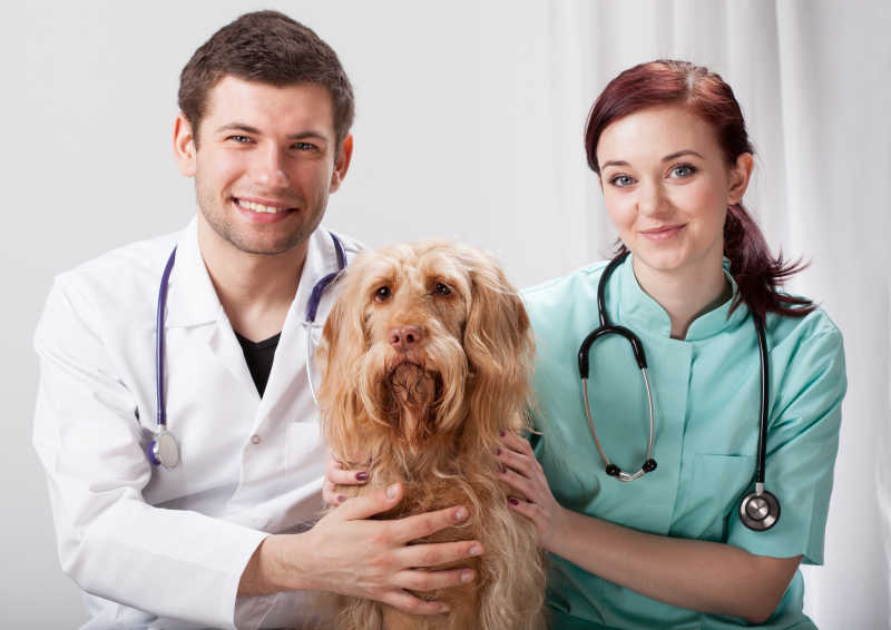 微笑的兽医和宠物狗