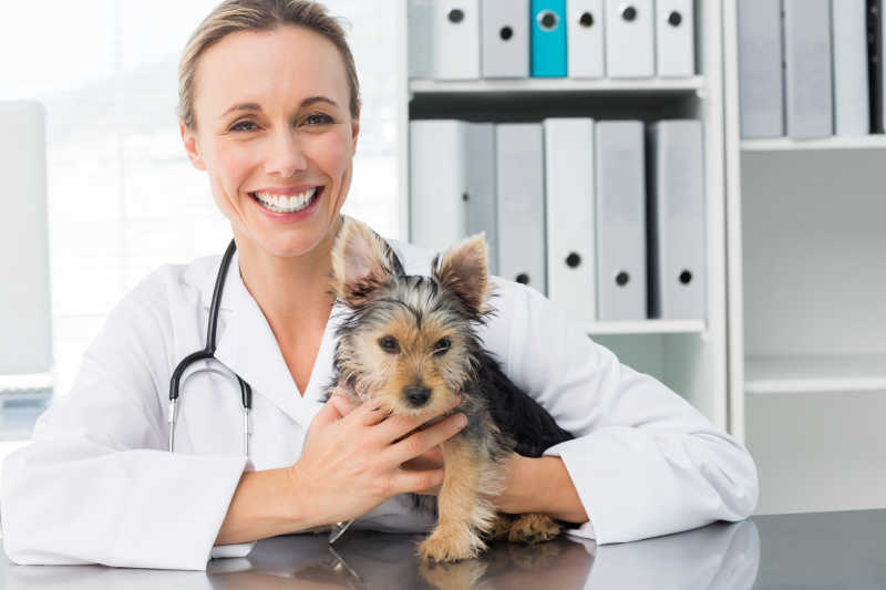 微笑的女兽医和宠物狗