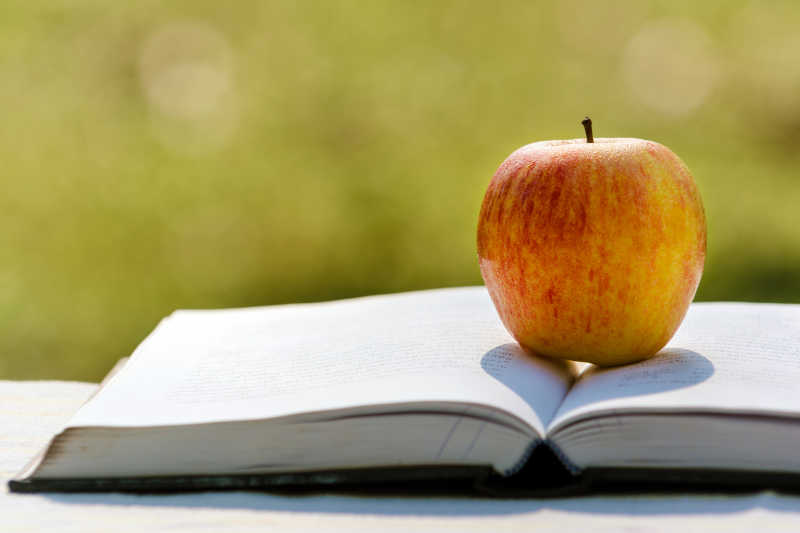 苹果在一本书上