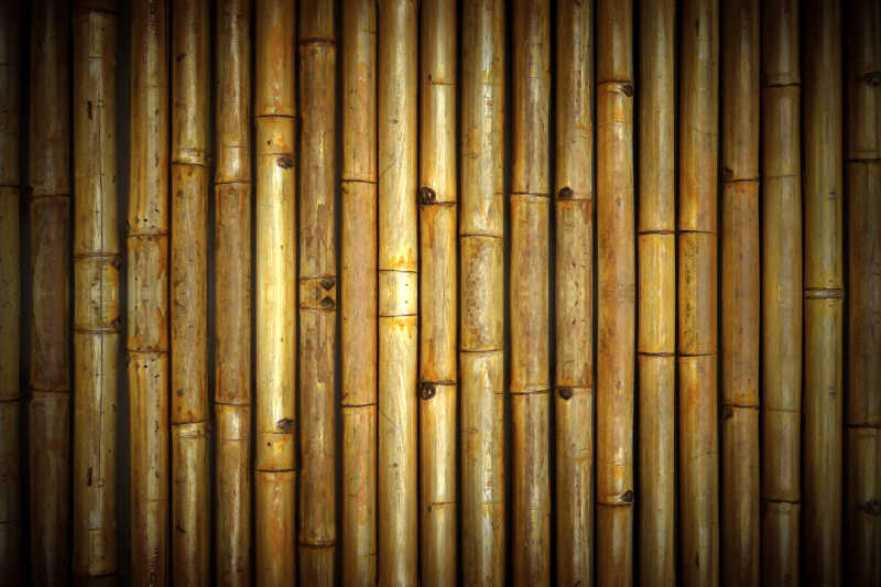 晒干的竹篱笆