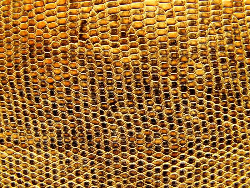 黄色的皮革纹理背景