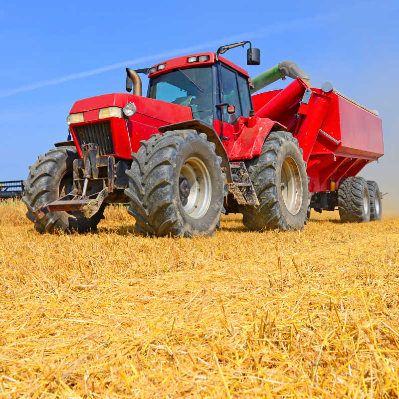 蓝天北背景下麦田里正在接收小麦的红色的运输机