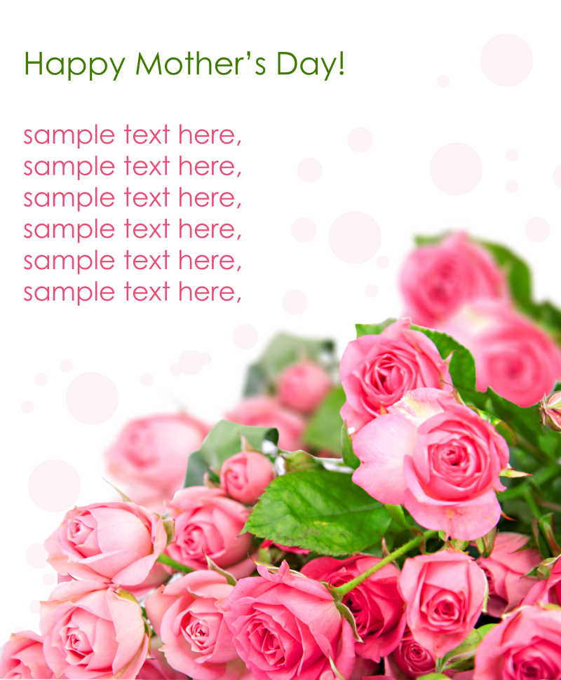 粉红玫瑰明信片