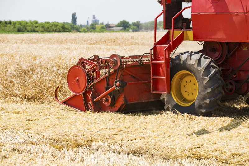 联合收割机在大麦田间收获中的应用