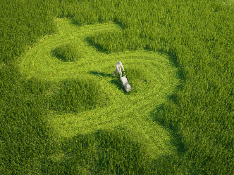 用割草机修剪成美元标志的草坪的人