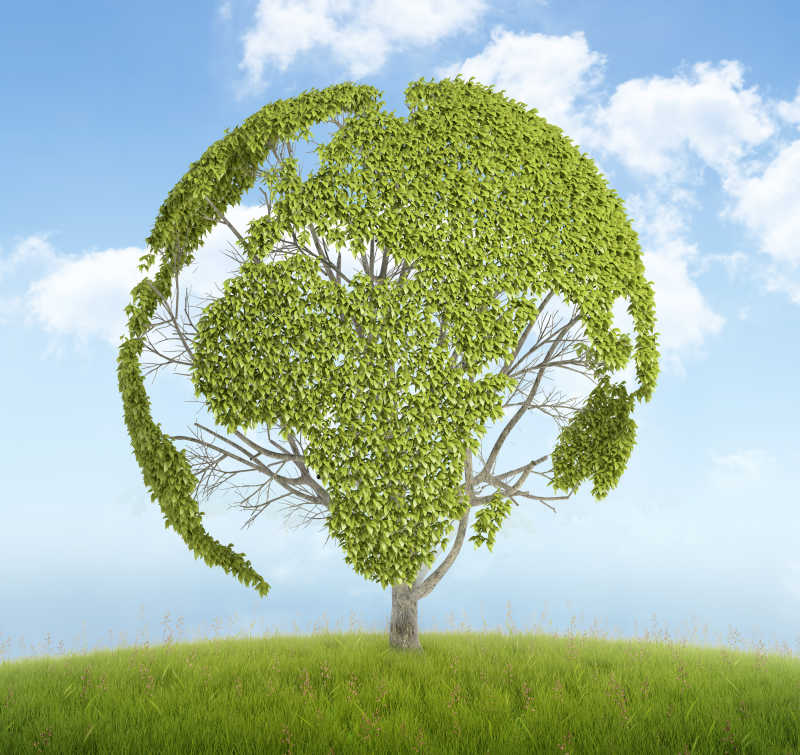 草地上长着世界地图形状叶子的树