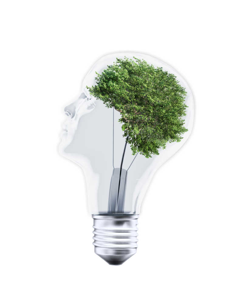 头状灯泡里的树木