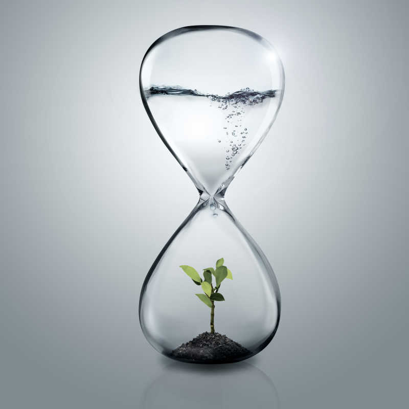 生长在沙漏中的植物