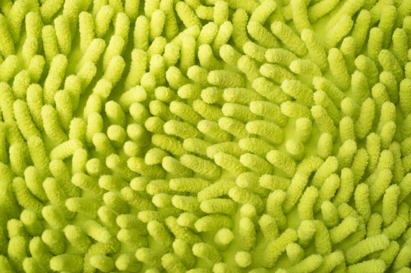 吸收性织物或地毯