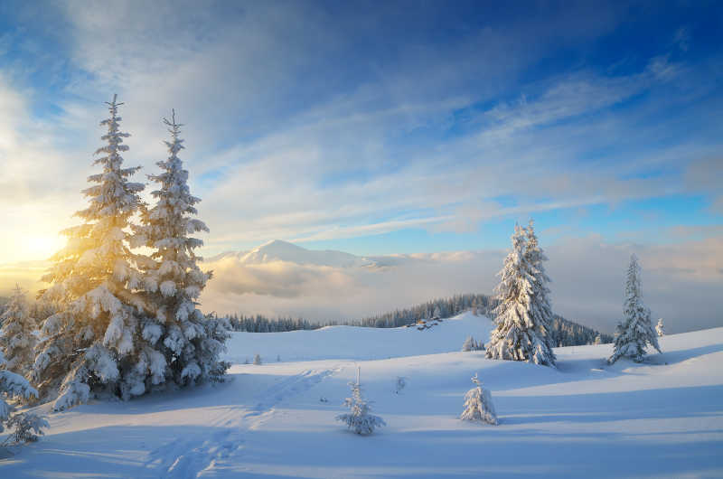 阳光下美丽的雪景