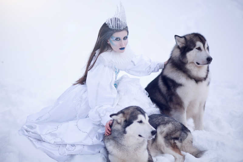 雪之女王与哈士奇