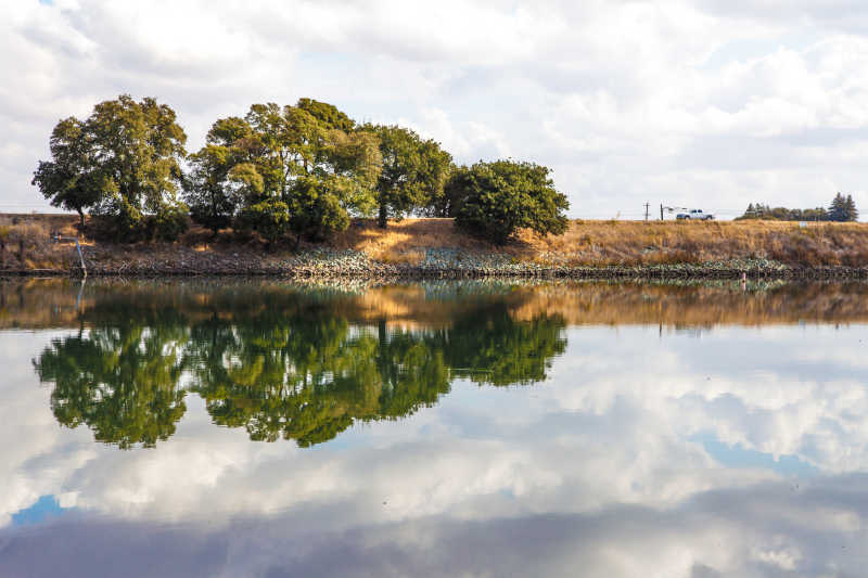 两岸的树木在河面上的倒影景观