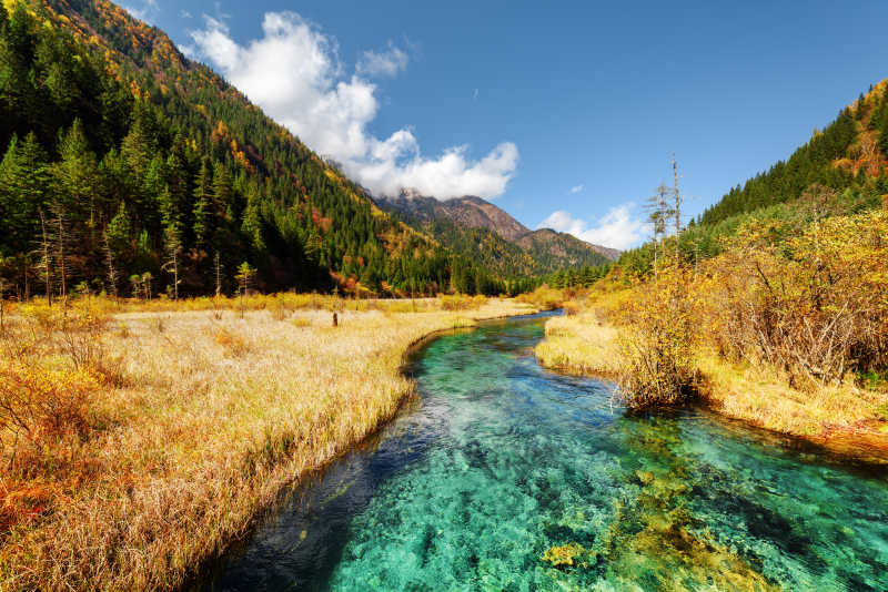 大山旁的秋天田野和河流风景