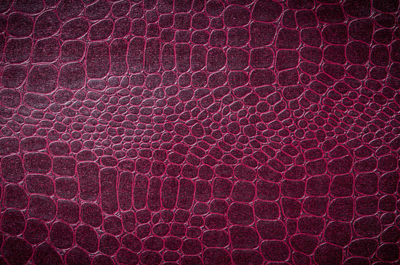 彩色背景鳄鱼皮