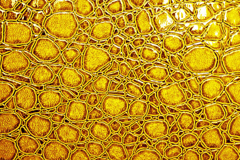黄色鳄鱼皮花纹皮革