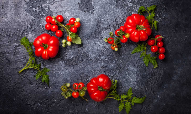 黑色背景下的新鲜番茄