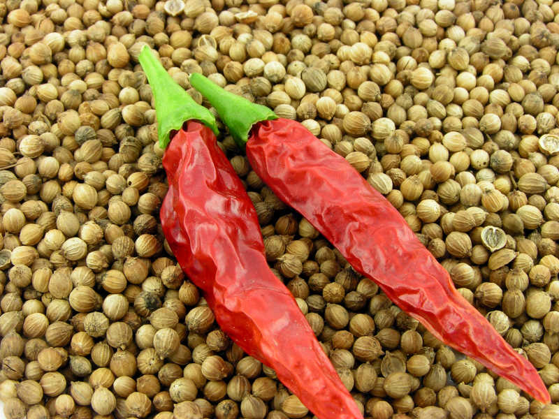 香料与红辣椒
