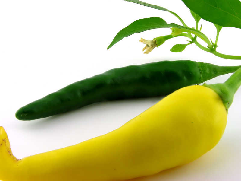 带叶子的五彩椒