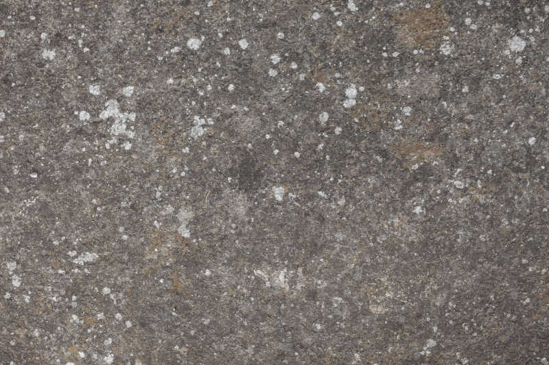 混凝土表面材质