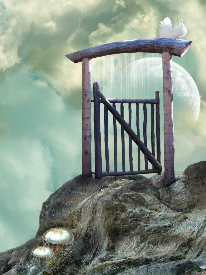 梦幻中的鸽子和悬崖