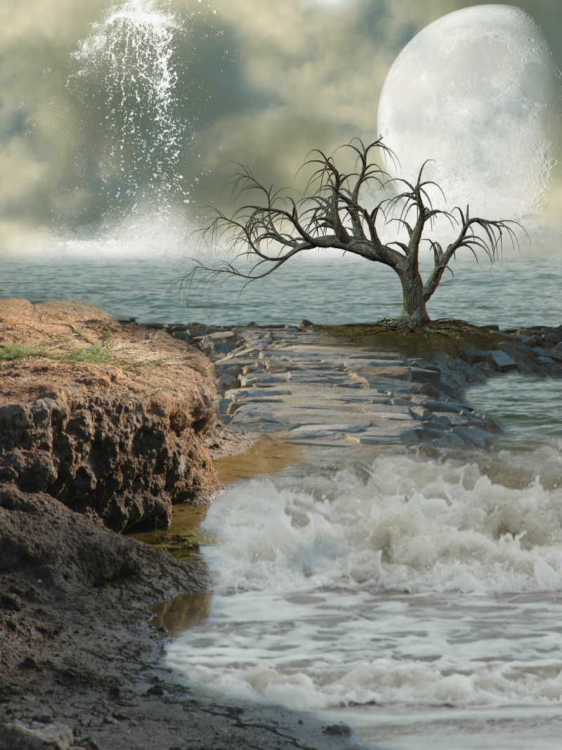 梦幻海岸和一个大月亮