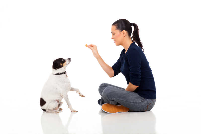 漂亮的年轻女子在训练她的宠物犬