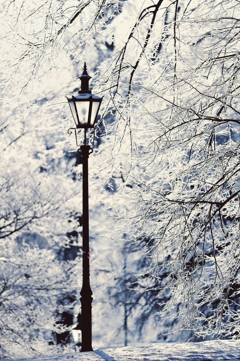 白雪覆盖的公园景色