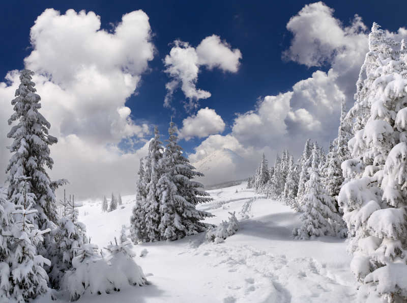 雪后美丽的山坡