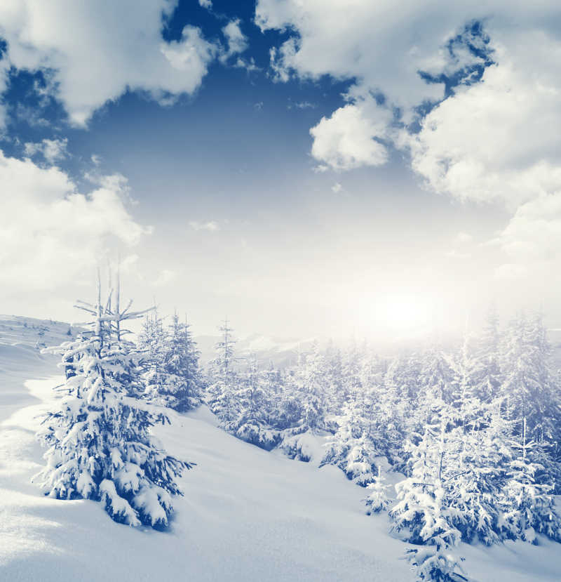 喀尔巴阡山脉奇妙的冬季景观