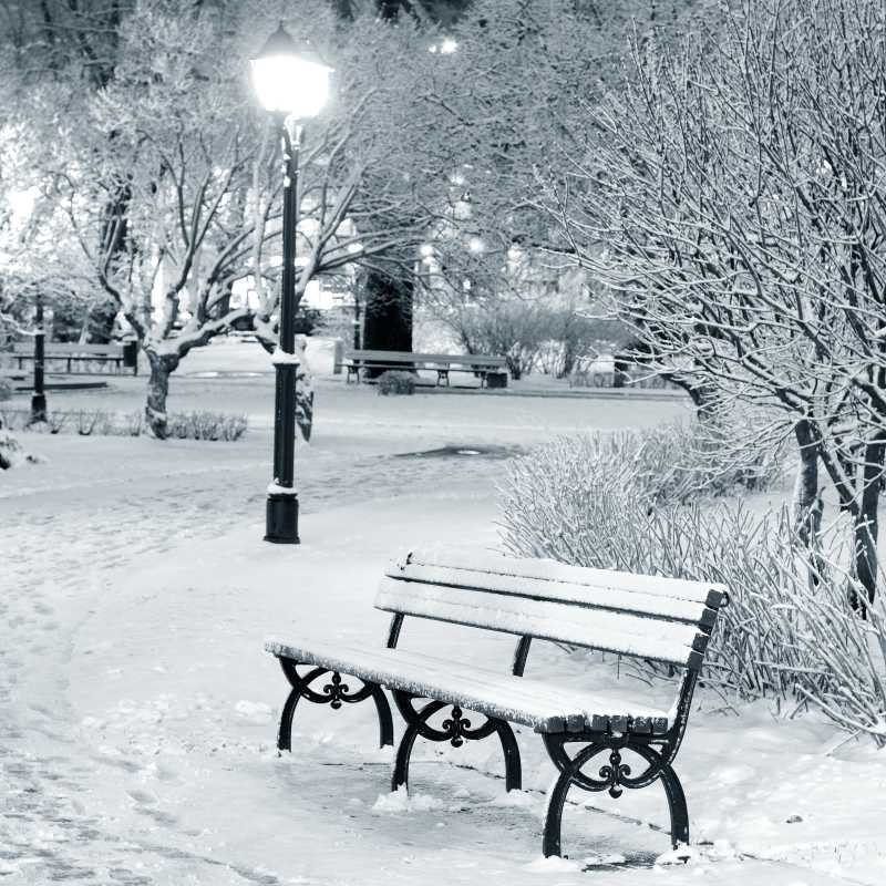 里加公园夜间的雪景