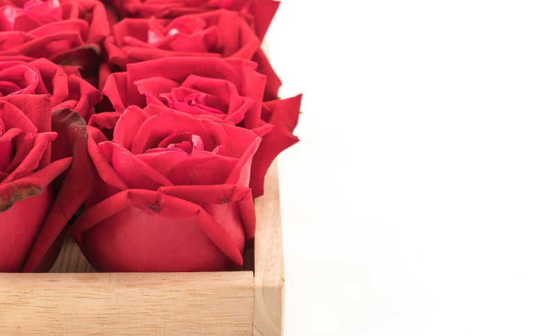 白色背景下浅色木盒中的红玫瑰