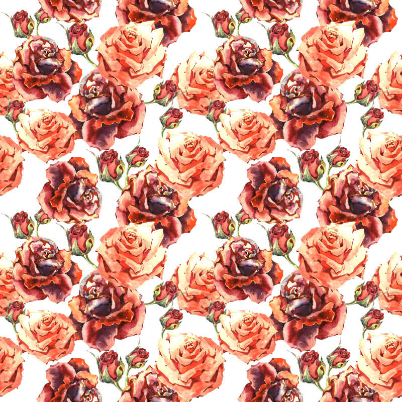 野玫瑰在水彩画风格的花卉图案