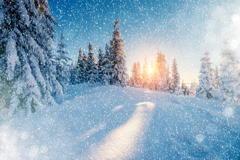 曹晨雪地里的壮丽景色