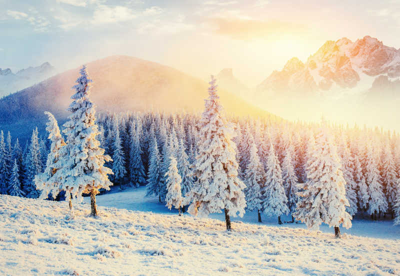 阳光下冬季的美景
