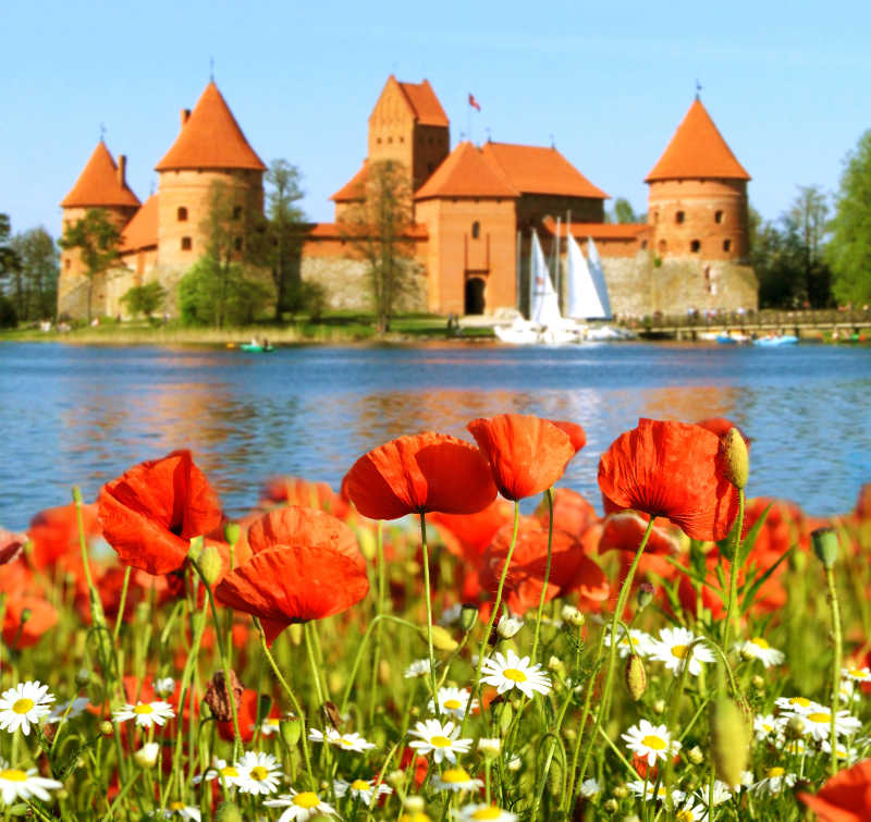 中世纪城堡的美丽景观