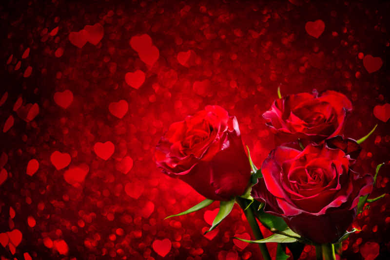 情人节背景与玫瑰花瓣