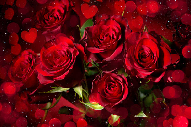情人节背景玫瑰和心