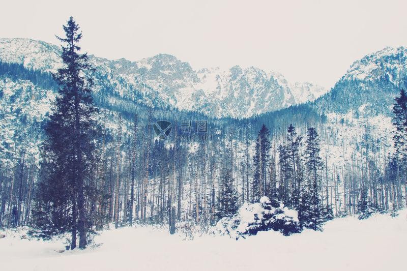 美丽的山中雪景
