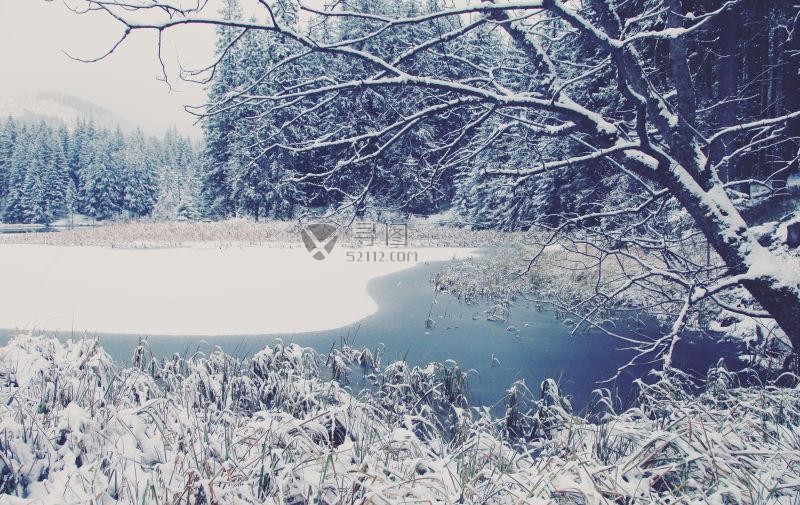 湖边的雪景