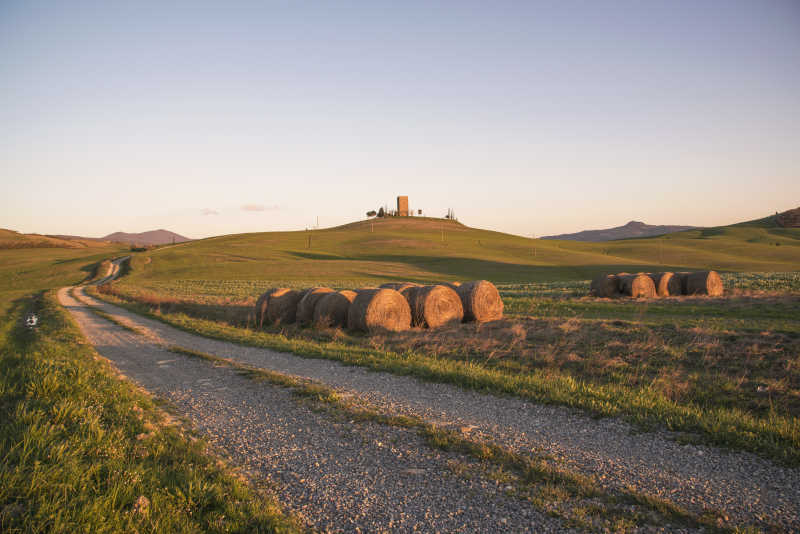 落日余晖下的美丽田野风光