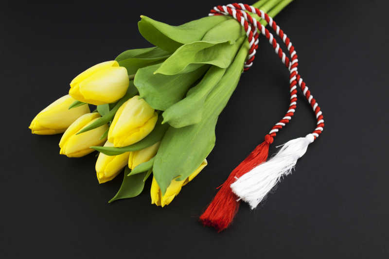 一束黄色郁金香