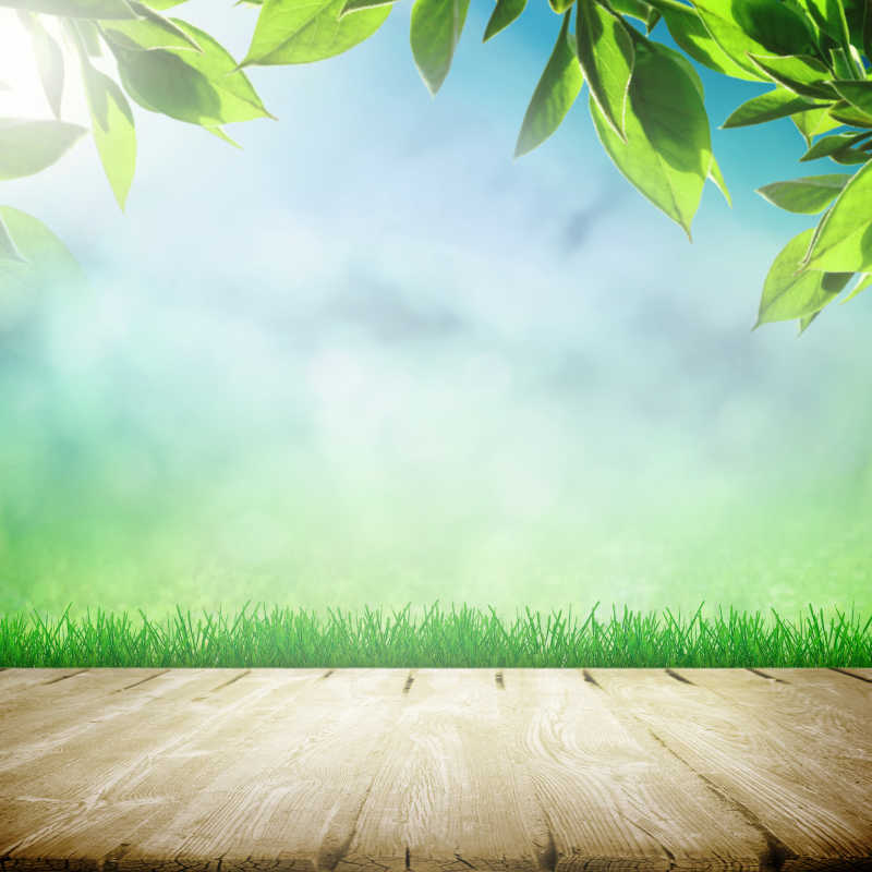 木桌前的春日阳光