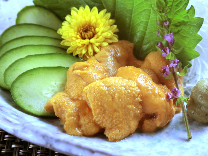 美味的海胆和黄瓜片