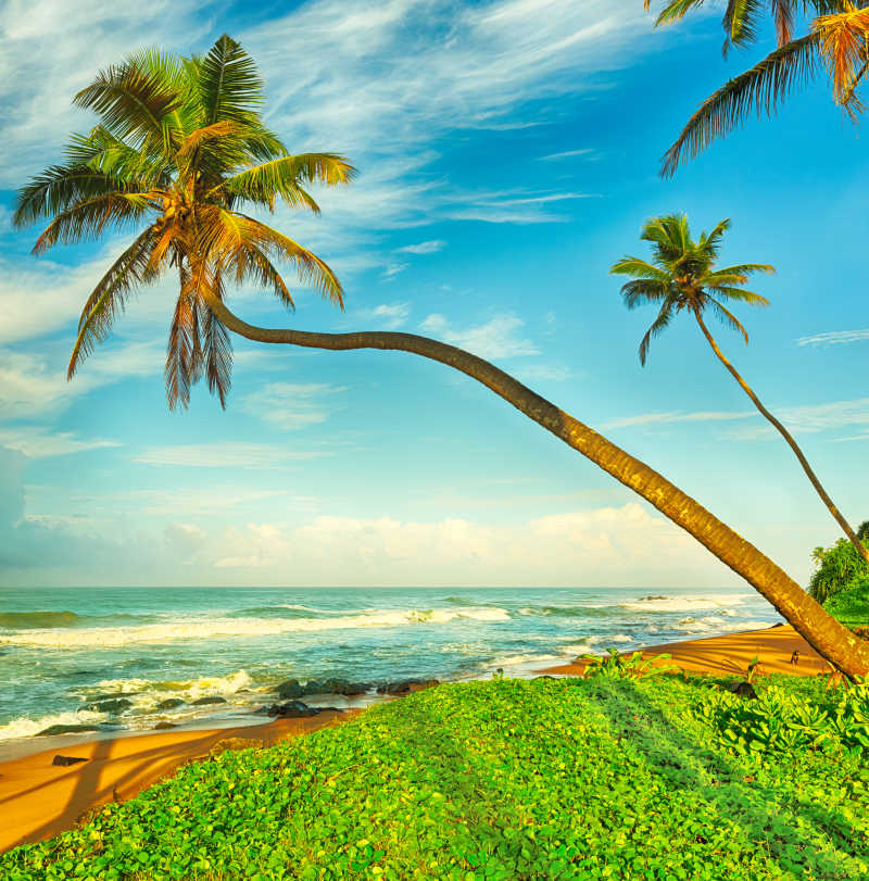 海滩岛屿上的风景