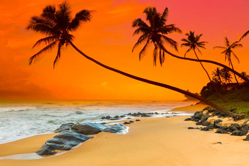 海滩日落的景色