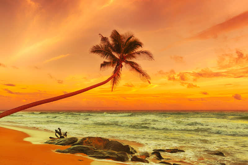 海滩边的日落风景