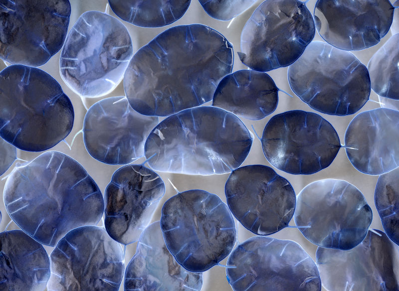 带色彩效果的石头底纹